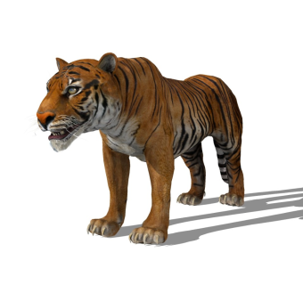 精品动物模型 老虎 (1)